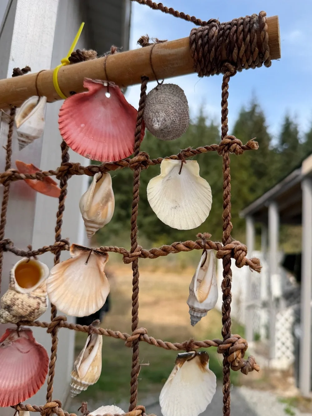 Seashell Net Wall Hanging